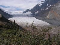 2779 Banff2Jasper Columbia Icefield 